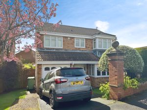 Photo 13- click for photo gallery